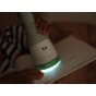 Veilleuse Pixie Torch 2 en 1 vert sauge