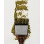 Coloration permanente aux plantes - noir - 100 g