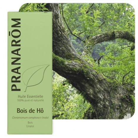 Huile essentielle de Bois de Hô - 10 ml