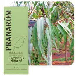 Huile essentielle d'Eucalyptus citronné 10 ml