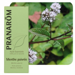 Huile essentielle de menthe poivrée 10 ml - Pranarôm