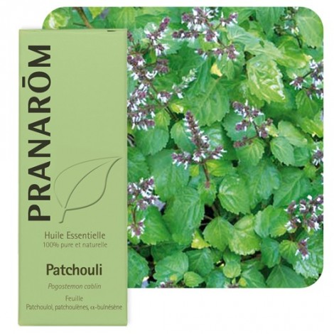 Huile essentielle de Patchouli Huile essentielle de Patchouli