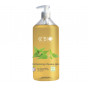 Shampooing Bio Cheveux gras 500 ml