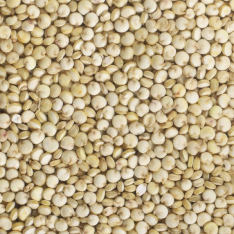 Graines à germer - Quinoa BIO 