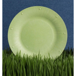 Grande assiette végétale compostable - 25,4 cm - Lot de 8 - Verte