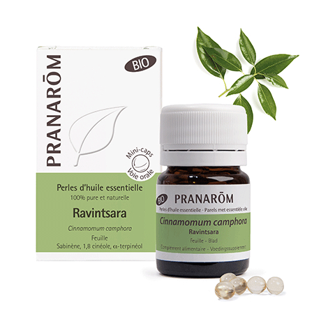 Perles d'huile essentielle BIO - Ravintsara - 60 perles