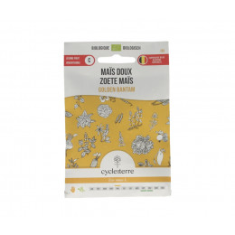 Mais doux Golden Bantam - 50 graines