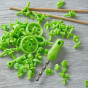 Terra Kids Connectors – Kit Technique