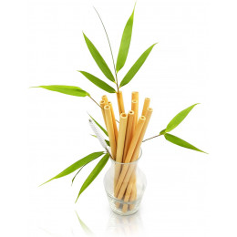 Pailles en bambou 22 cm - Lot de 12