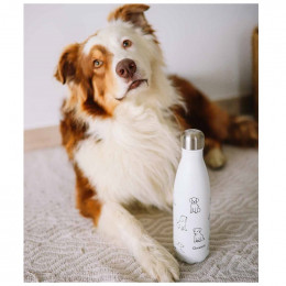 Bouteille isotherme - Pretty dogs - 500ml