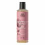 Shampooing BIO - Wild Rose - Cheveux colorés - 250 ml