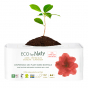 Protège-slips 100 % eco Flux Normal - 32 pcs