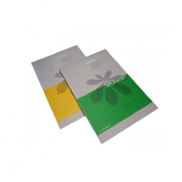 Blocs notes Splendid - 100 feuilles - 100 %recyclé