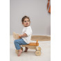 Porteur en bois - Mr. Fox